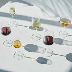 Champagne>IITTALA Essence Champagne 21cl 2pk