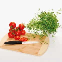 Kniver>PORSGRUNDS PORSELÆNSFABRIK Porsgrunds Porselænsfabrik De Cuisson Grønnsakskniv 13 cm