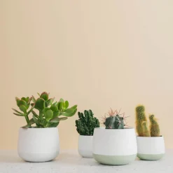 Dekor|Vaser>PORSGRUNDS PORSELÆNSFABRIK Porsgrunds Porselænsfabrik Nordic Light Lyslykt 10cm Hvit