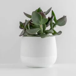 Dekor|Vaser>PORSGRUNDS PORSELÆNSFABRIK Porsgrunds Porselænsfabrik Nordic Light Lyslykt 10cm Hvit