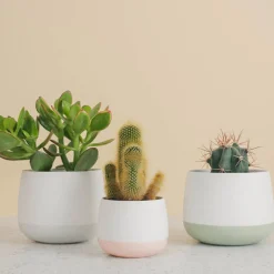 Dekor|Vaser>PORSGRUNDS PORSELÆNSFABRIK Porsgrunds Porselænsfabrik Nordic Light Lyslykt 10cm Hvit