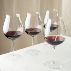 Champagne>RIEDEL Veritas New World Pinot Noir 2pk